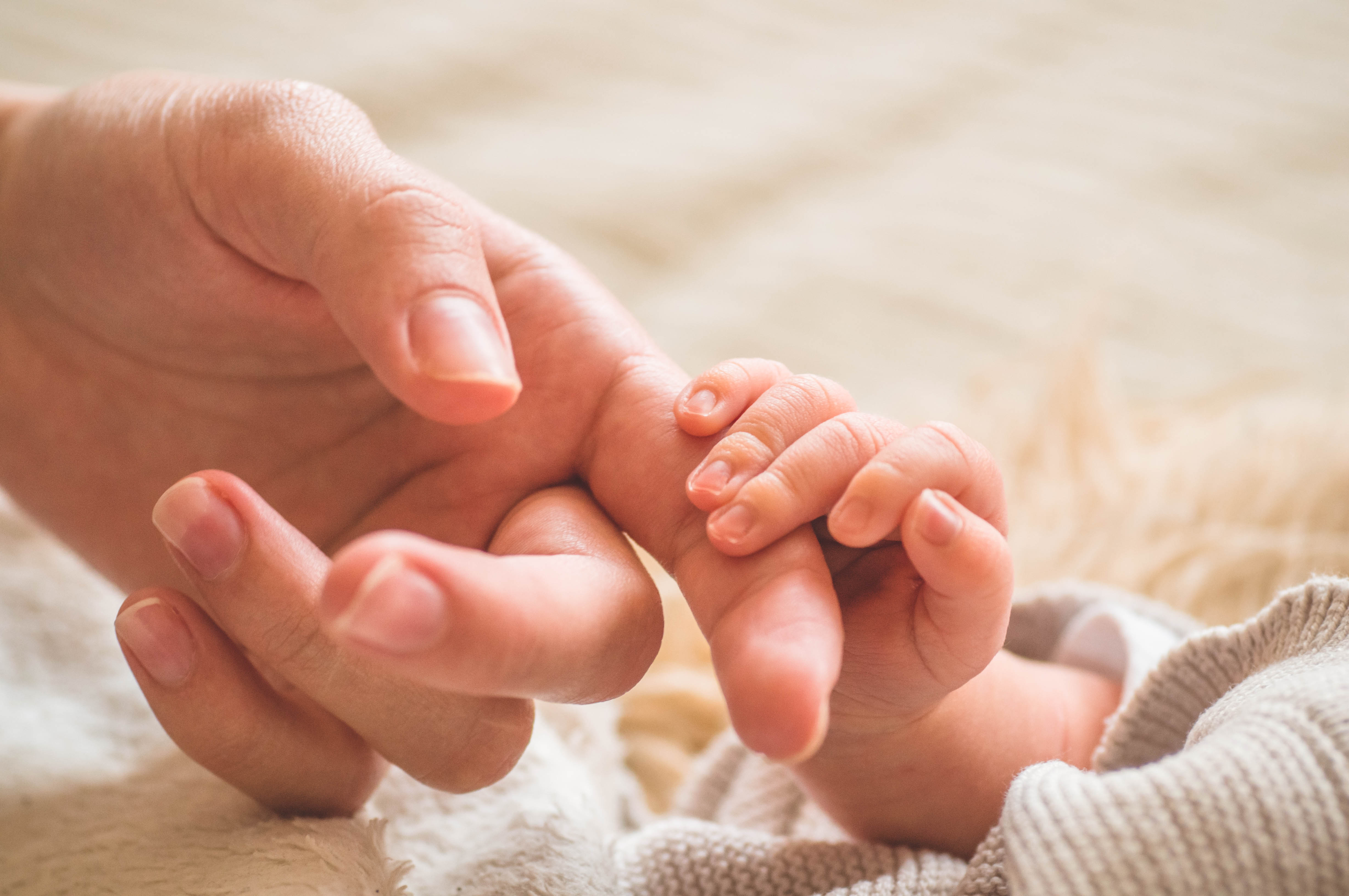 Hand eines Neugeborenen in der Hand eines Erwachsenen